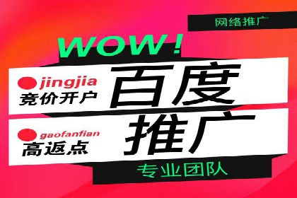 百度竞价广告投放策略及成功盈利案例